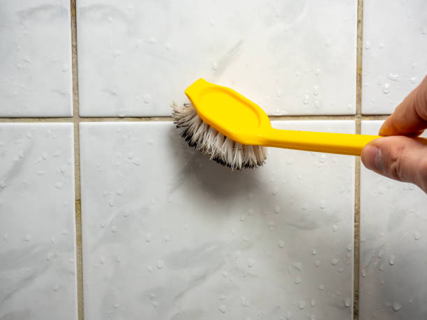 Best Home Mold Removal  in Cresskill, NJ