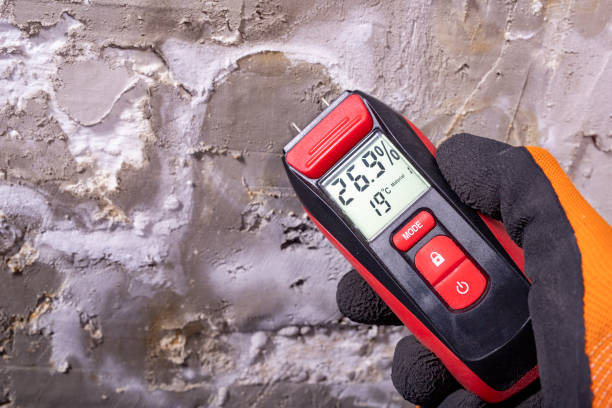 Best Best Mold Removal Companies  in Cresskill, NJ