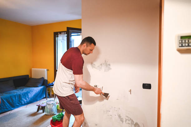 Best Professional Mold Removal  in Cresskill, NJ