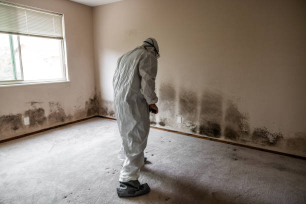 Best Mold Cleaning Services  in Cresskill, NJ